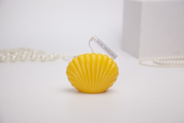 未定标题0005087 未定标题0005087