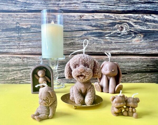 Animal_Group05 Animal_Group05