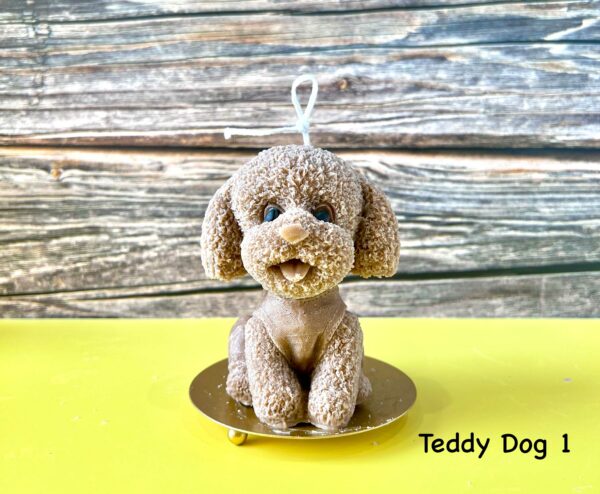 Teddy-Dog-1 Teddy-Dog-1