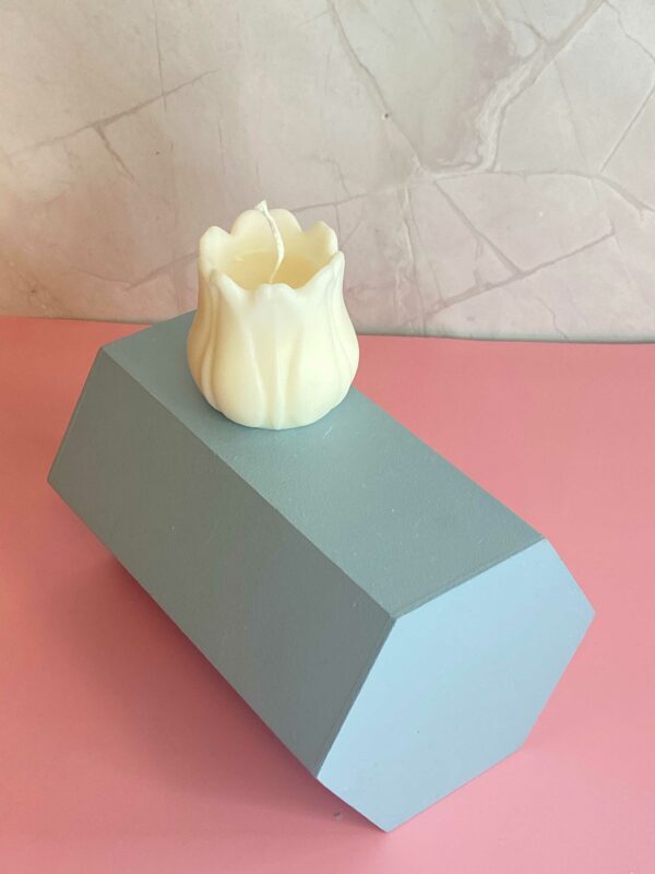 big-rose-flowers big-rose-flowers