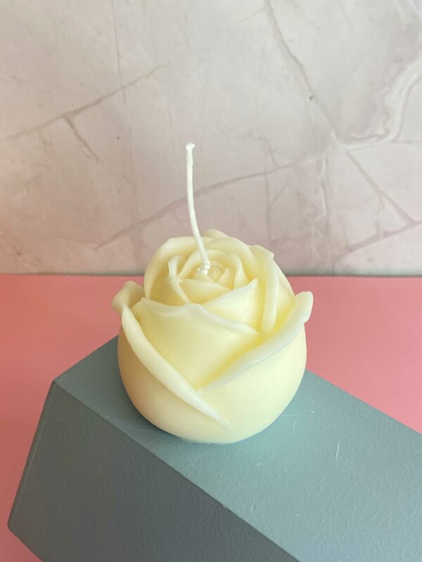 large-white-rose large-white-rose