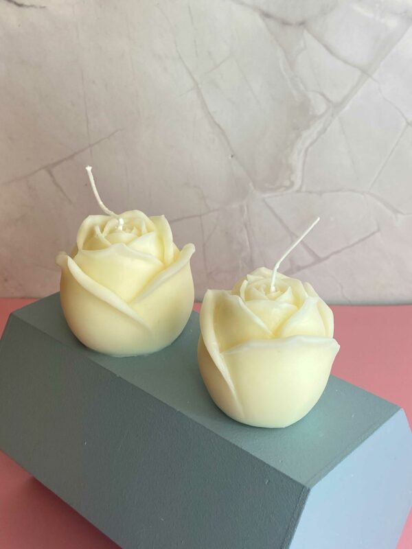 white-rose- white-rose-