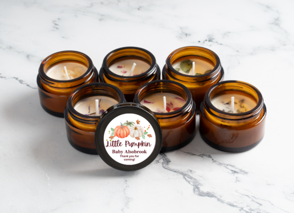 carol pumpkin carol pumpkin